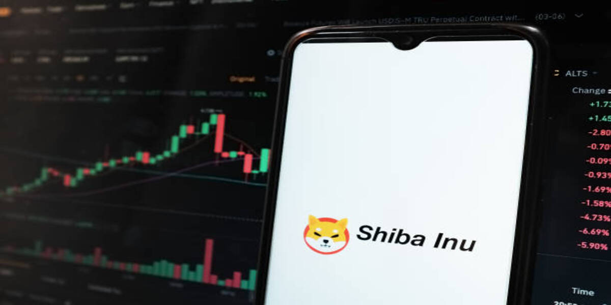 Shiba Inu Price Prediction 2040